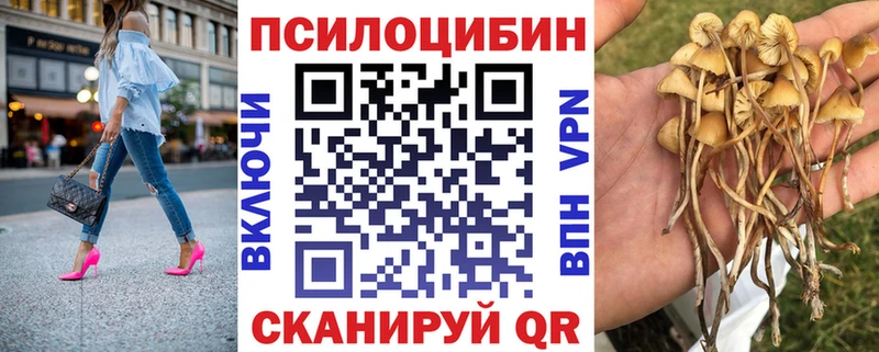 Галлюциногенные грибы Magic Shrooms  Купить где  Анапа 